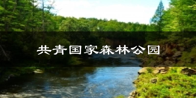 共青国家森林公园今日天气