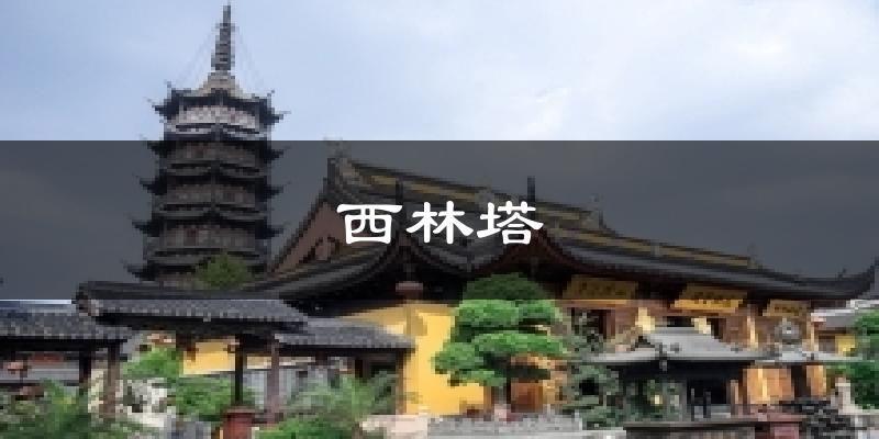 西林塔气温