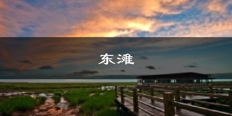 东滩气温