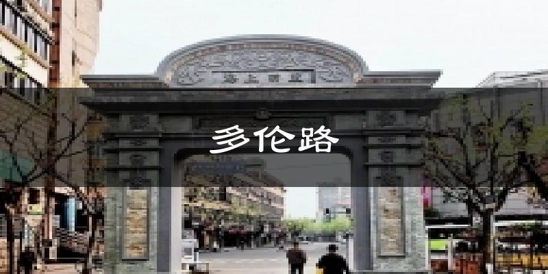 多伦路气温